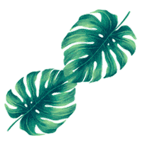 Leaf Sticker
