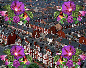 aminak giphyupload GIF