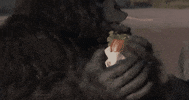 eat born to be wild GIF by Warner Archive