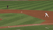 Blue Jays Baseball GIF by Toronto Blue Jays