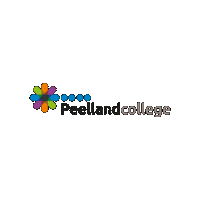 peellandcollege havo middelbareschool podiumvoortalent peelland Sticker