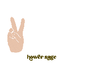 HowerSage together blm diversity black lives matter Sticker