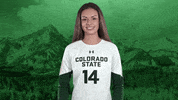Volleyball GIF by Colorado State Rams