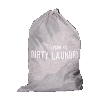 PlanePal travelbag dirtylaundry planepal laundrybag Sticker