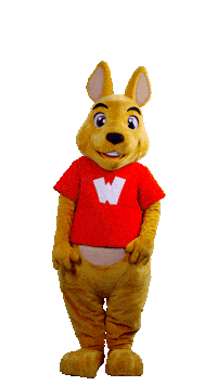 WalibiRA hello hi good morning hey Sticker