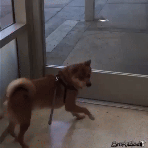 his taps