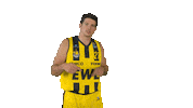 Ewe Baskets Basketball Sticker by EWE Baskets Oldenburg