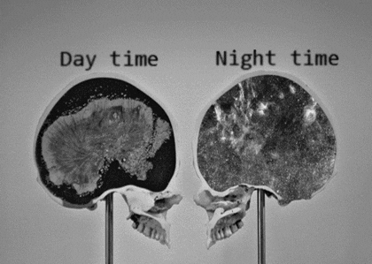 night time sleep GIF by Cheezburger