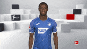 Football Hoffe GIF by Bundesliga
