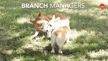 Branch Managers