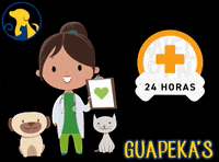 guapekaspett  GIF