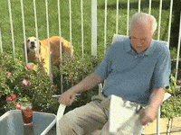 frustrated old man GIF