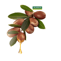 Argan Oil Ingredient Sticker by Palmolive Naturals