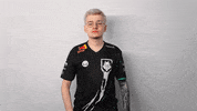 Jack Robertson Facepalm GIF by G2 Esports