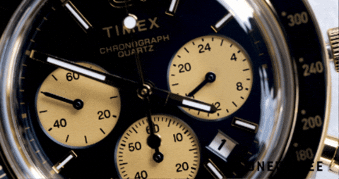 vit157 giphygifmaker timex onewheee timexq GIF
