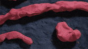 noamsussman trippy psychedelic high drugs GIF