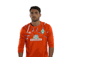 Stefanos Kapino Dance Sticker by SV Werder Bremen