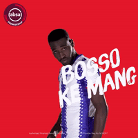 south african soccer GIF