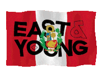 Flag Peru Sticker by East & Young
