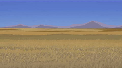 battle desert GIF by South Park 