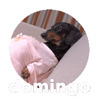 Sticker by Sealed With A GIF