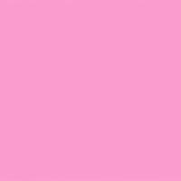 Pink Posing GIF by ArmyPink
