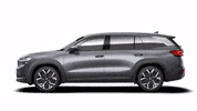 Kodiaq Graphite Grey GIF by Škoda Global