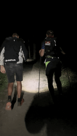 Beeheidi giphyupload GIF