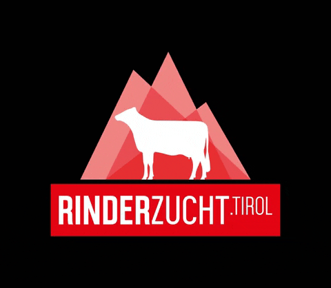 Rinderzucht_Tirol giphygifmaker tirol rinderzucht rinderzucht tirol GIF