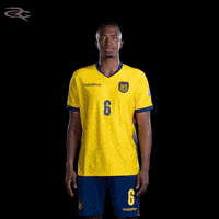 Fifa World Cup Ecuador GIF by Respective