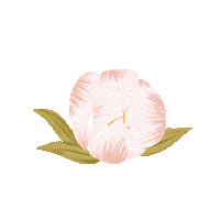 calliecolwick flower tap click button Sticker