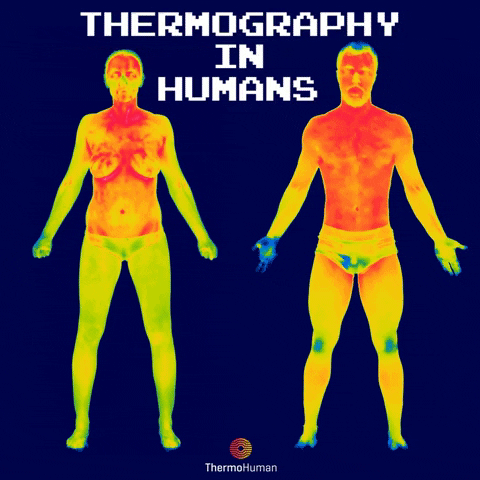 thermohuman giphygifmaker thermal thermal camera thermography GIF