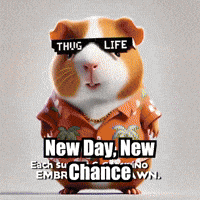 New Day Wisdom GIF by Guinea Gambino