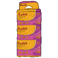 Film Camera Sticker