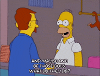 talking homer simpson GIF