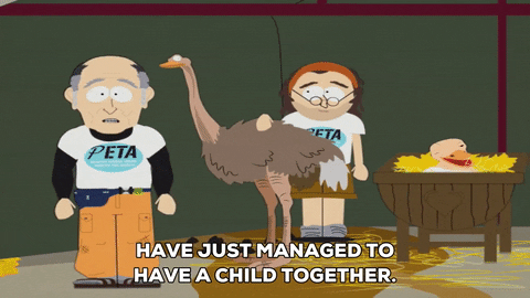 freak of nature peta GIF by South Park 