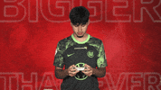 Vfl Wolfsburg GIF by Bundesliga