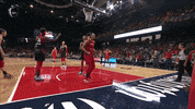 Womens Basketball Sport GIF by WNBA