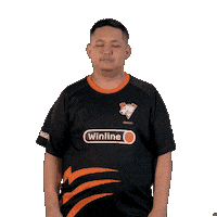 Esports Thumbs Up Sticker by Virtus.pro