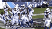 2018 Nfl Football GIF by NFL