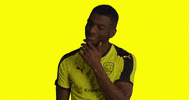 Soccer What GIF by New Mexico United