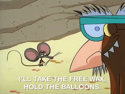 nickrewind giphydvr nicksplat angry beavers giphyab017 GIF