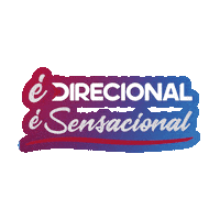E Direcional E Sensacional Sticker by direcionalvendas