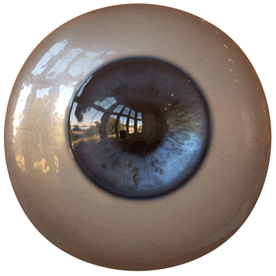 Eye Sticker