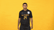 Sport Hello GIF by Cal State LA Golden Eagles