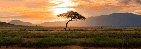 drjanetchollet giphygifmaker giphyattribution GIF