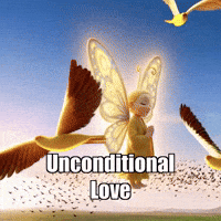 Unconditional Love Flight GIF by BuddhaFlyJourney