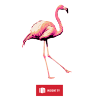 Supercarblondie Scb2019 Sticker by Insight TV