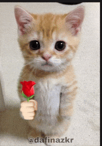 Take This Rose GIF