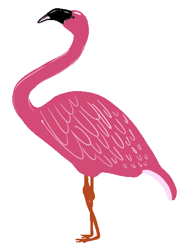 Pink Bird Sticker